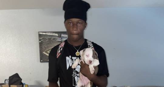 Rapper - DedeBinLaden