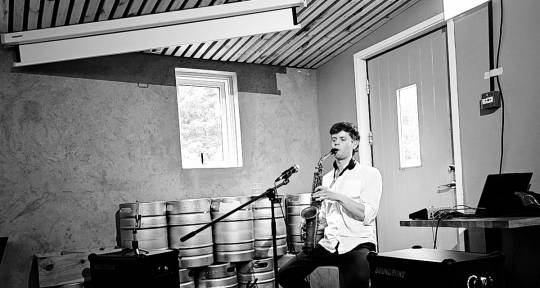 Experimental Pop Producer - Borgar