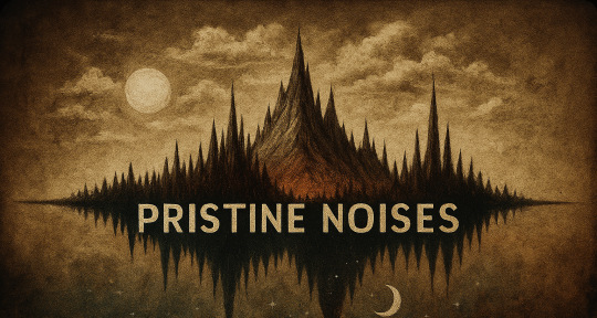 Songwriting, producing, mixing - Pristine Noises