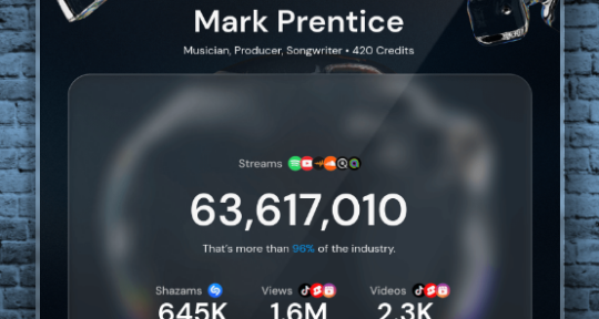 Elite Session Bassist - Mark Prentice