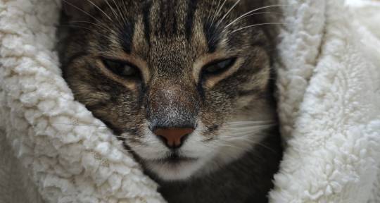 Music Producer, Composer - No name