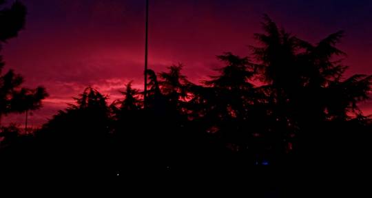 I play the guitar - lyrakith