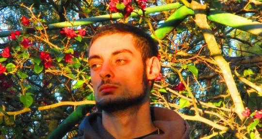 Muisc producer, mix and master - Noah Rocco