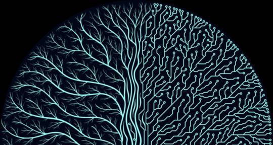 Beatmaker Edm, Trap, House... - CBo-Nan