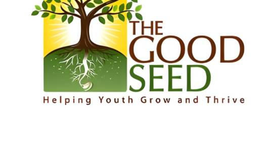 Nonprofit Organization - The Good Seed CDC
