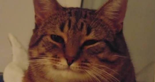 Mixing & Mastering Engineer | - Dimasmixing