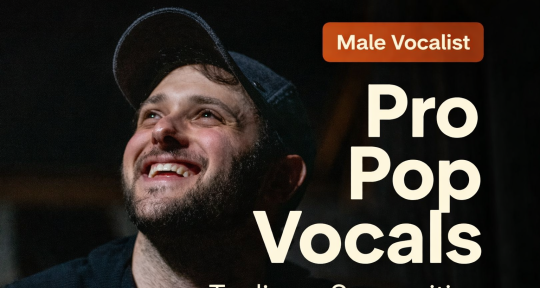 Songwriter/Vocalist For Hire - Mark Klaver