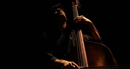 Acoustic Bass Player - Fermín Suárez