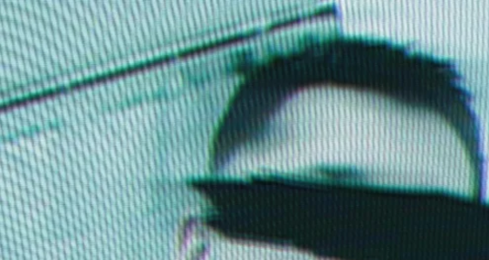 Producer/Songwriter/Mix Engine - Sneaky Haxor