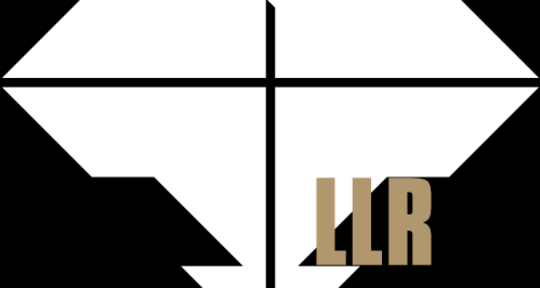 artista multidiciplinario - llr