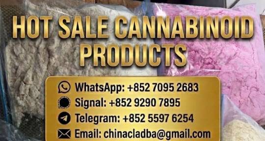 WhatsApp: +852 7095 2683, 5CL - Buy MDMB-4en-PINA CA 2504100-7