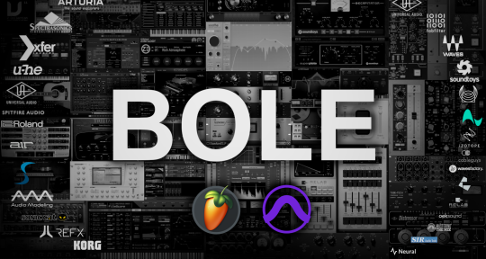 Producer & Mix/Master Engineer - Bole