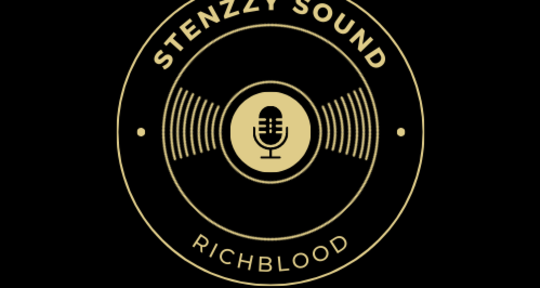 Music producer mix&master engi - Stenzzysound