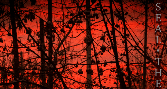 Mixing Engineer, Black Metal - GarFaU