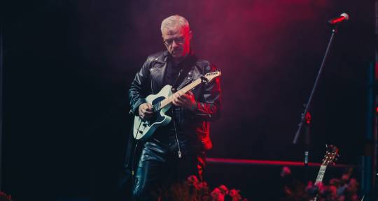 Professional Guitarist - UpeArtist