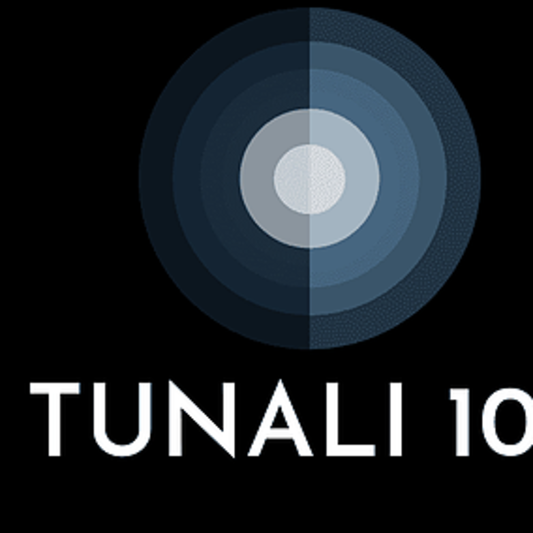 TUNALI103 on SoundBetter