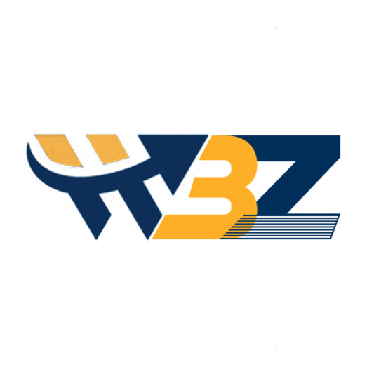 WIN BIZ SOLUTIONS INDIA on SoundBetter