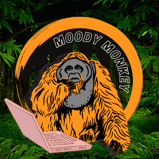 MoodyMonkey on SoundBetter