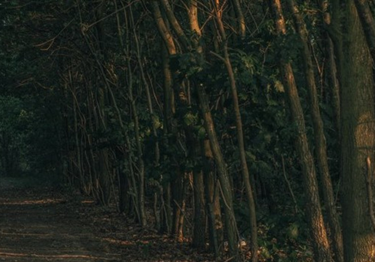 George Bennet on SoundBetter