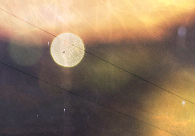 Braille Music on SoundBetter