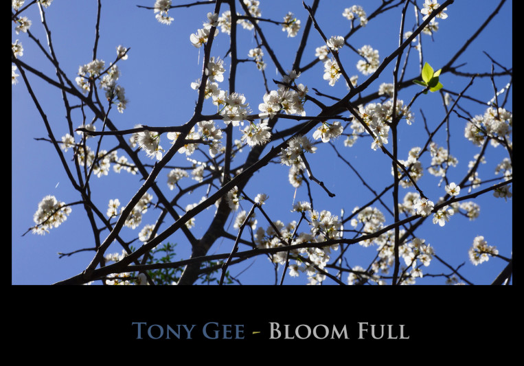 Tony G. on SoundBetter