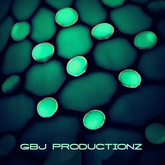 GBJ PRODUCTIONZ on SoundBetter