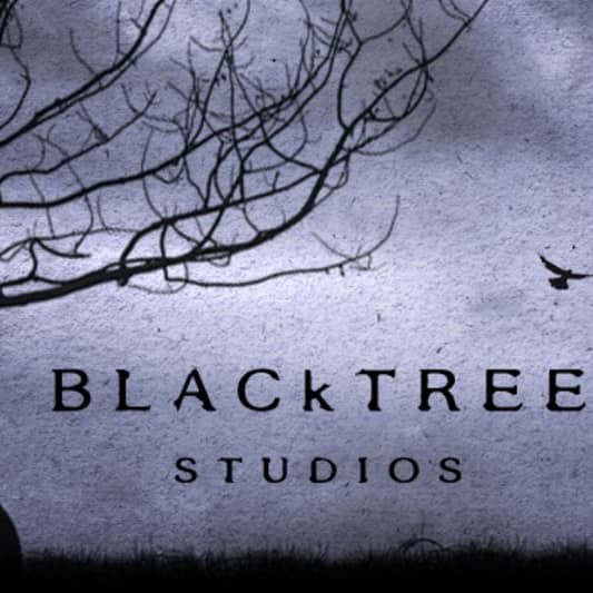 Blacktree Studios on SoundBetter