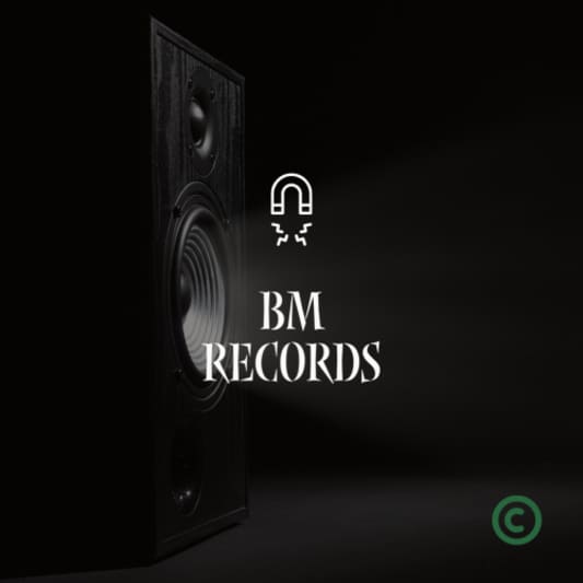 Best Magnetic Records on SoundBetter