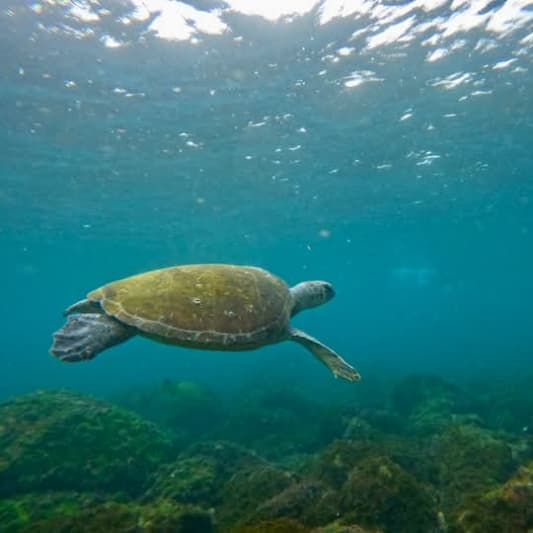 Conservation on SoundBetter