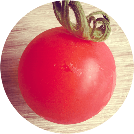 pomodorosa on SoundBetter