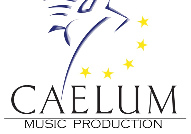 Caelum Music Production on SoundBetter