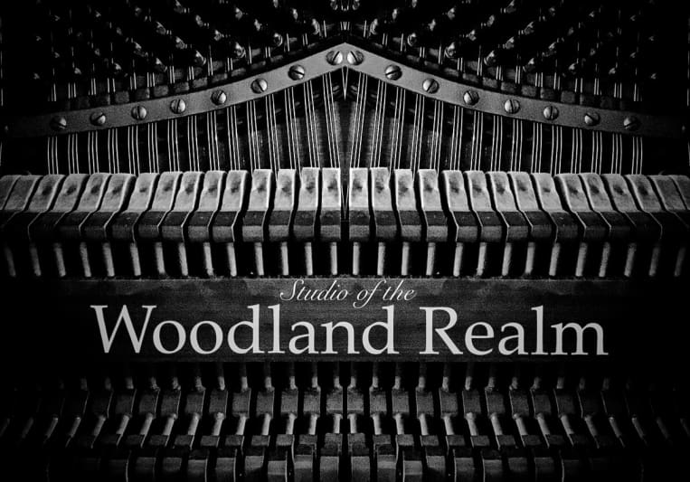 Studio of the Woodland Realm on SoundBetter