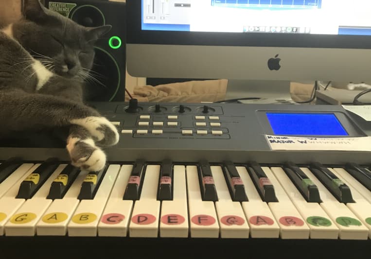 Adam Galloway on SoundBetter