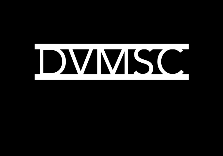 dvmsc on SoundBetter