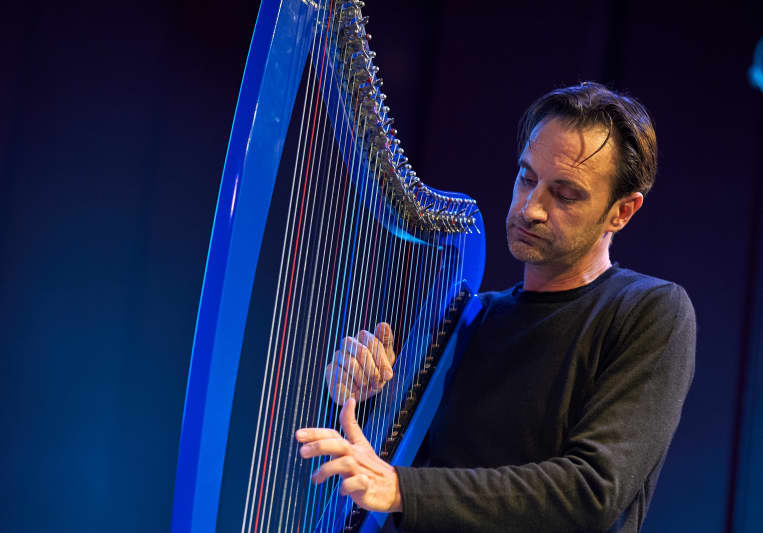 Raoul Moretti, Electroharpist on SoundBetter