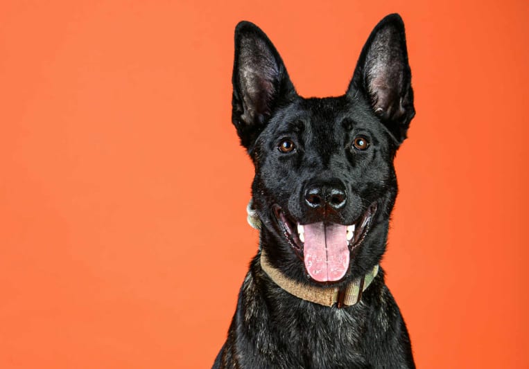 TangoWavesStudio on SoundBetter