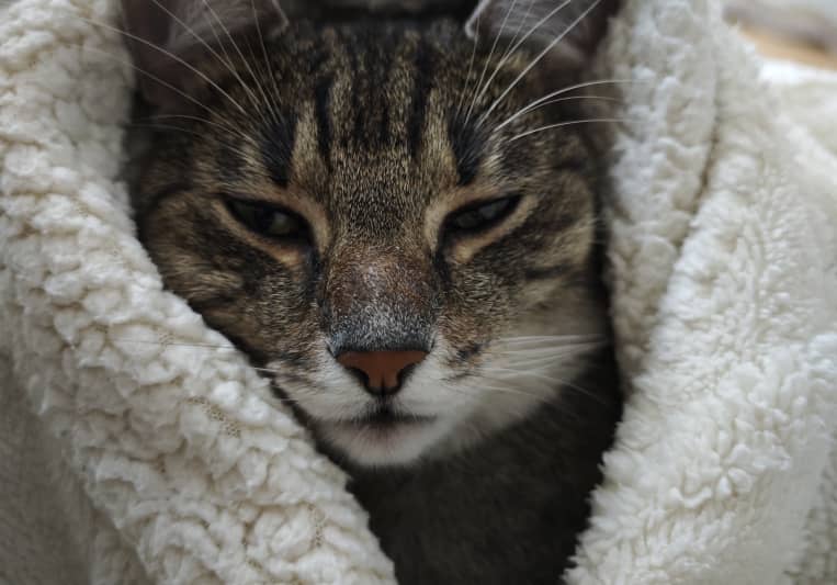 No name on SoundBetter