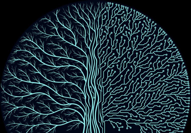 CBo-Nan on SoundBetter