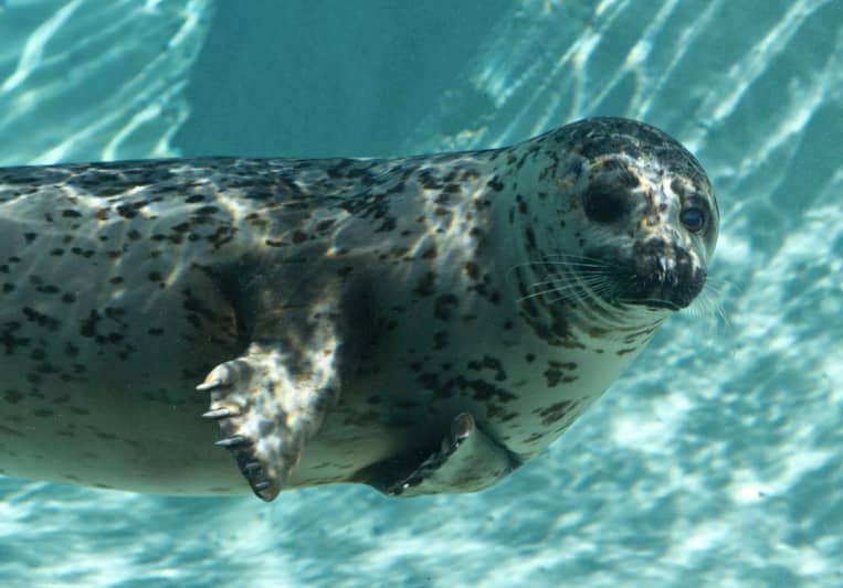 o11tobi on SoundBetter