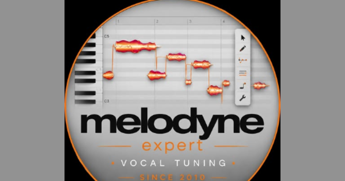 15+Year Melodyne's Experience - 
