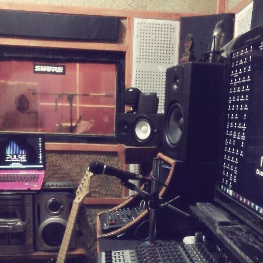 Pulse Digital Recording Studio on SoundBetter