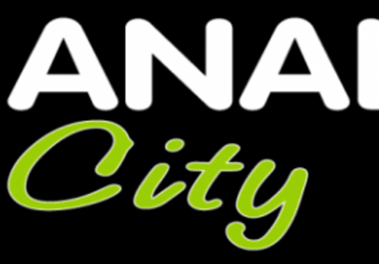 Analog City Sound Makers on SoundBetter