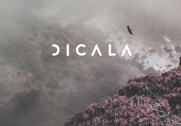 Dicala on SoundBetter