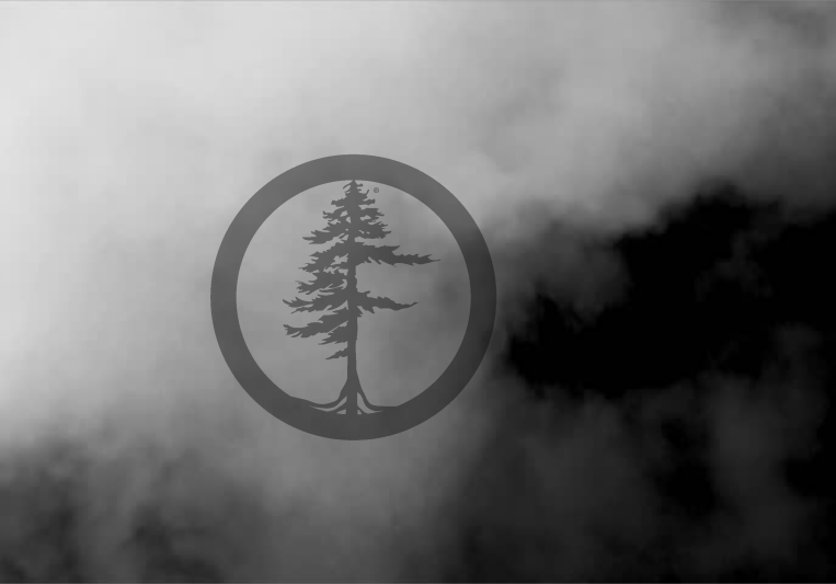 BLACK FIR on SoundBetter