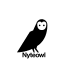 Nyteowl_logo_hi