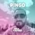 Pingo-artist