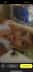 1d9a0f06-5f33-46c8-9c83-57f0c4b4de21