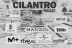 Cilantro_logos_para_soundbetter_