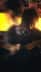 Timeline_1__resolve_.01_00_39_02.still002