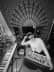 Teddy_studio